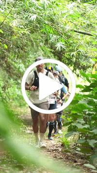 BIB:  <button type="button" onclick="openModal(26822224)" class="btn btn-primary btn-sm float-right" data-toggle="modal" data-target=".modal-high-quality">
                <i class="fa fa-download"></i> Download
                </button>